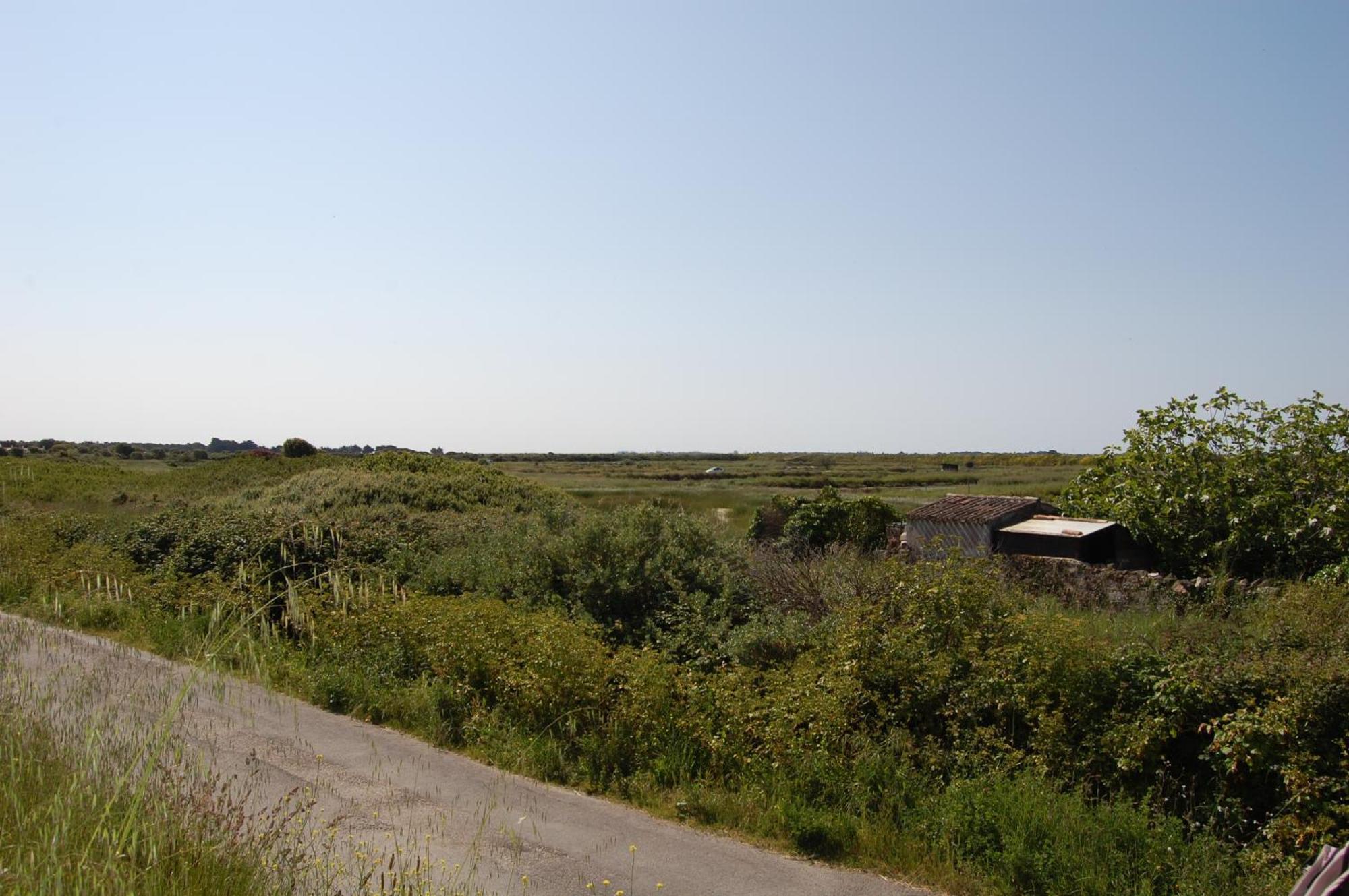 Villa Le Parc Des Mimosas Noirmoutier-en-l'Île Exterior foto