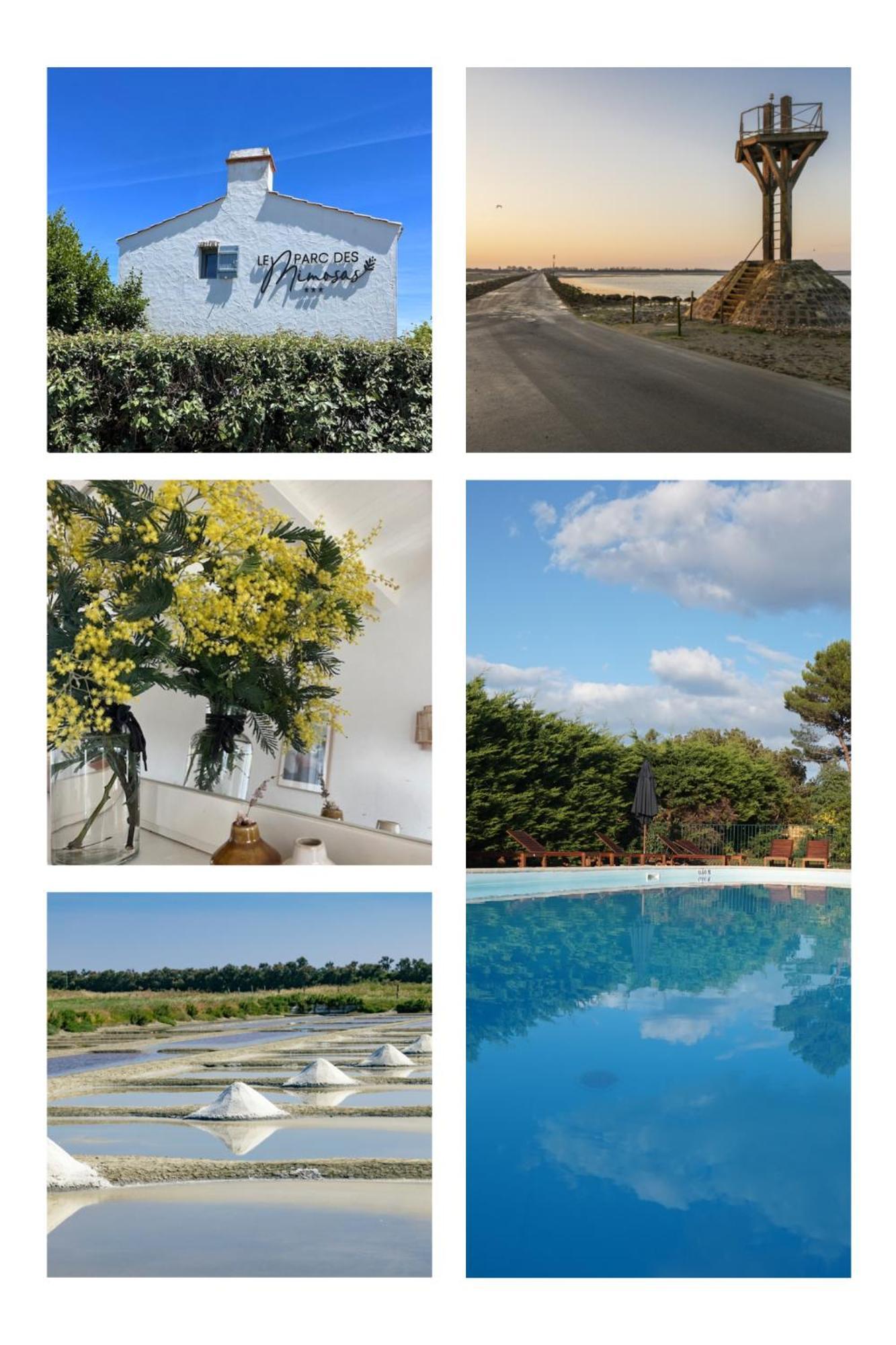 Villa Le Parc Des Mimosas Noirmoutier-en-l'Île Exterior foto